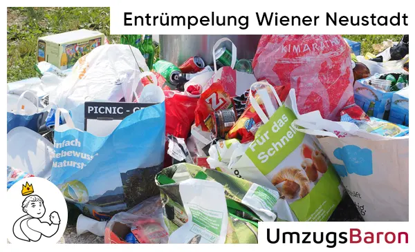 Entrümpelung Wiener Neustadt