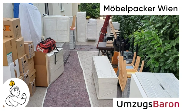 Möbelpacker Wien