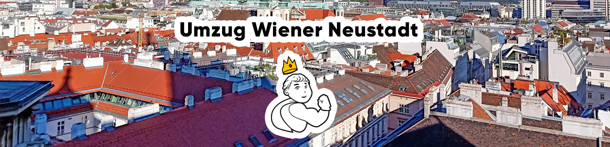 umzug wiener neustadt niederösterreich
